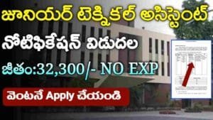 CEL Notification 2024