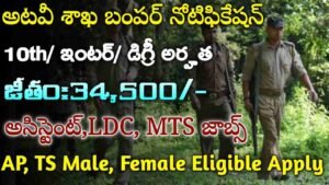 IWST Recruitment 2024