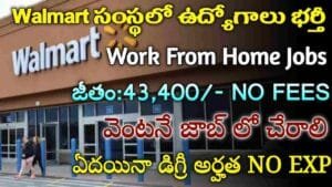 Walmart Jobs 2024